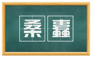 桑蠹