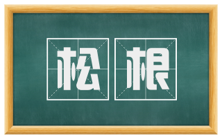 松根