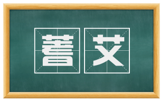 蓍艾
