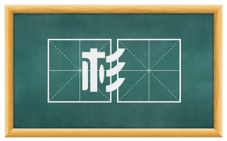 杉鷄