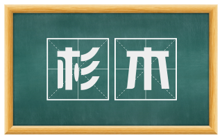 杉木
