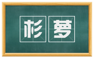 杉萝