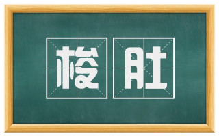 梭肚