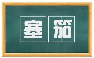 塞笳