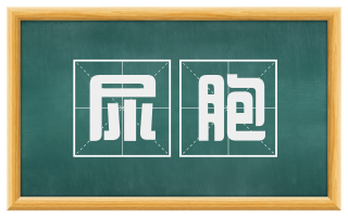 尿胞