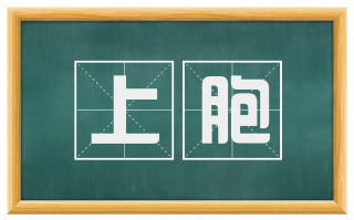 上胞