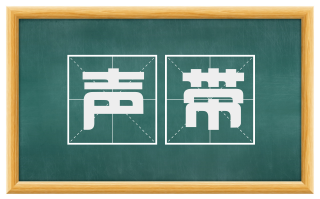 声带