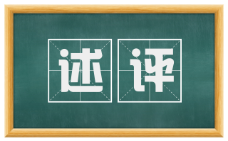 述评