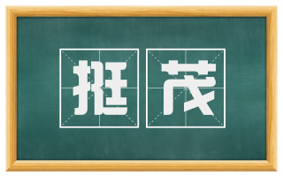 挺茂