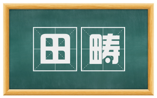 田畴