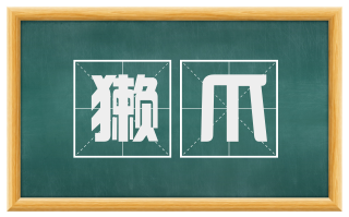 獭爪
