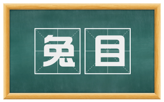兔目