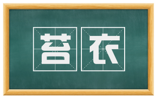 苔衣