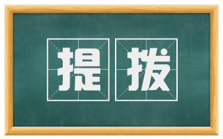 提拨