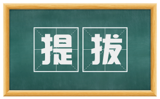 提拔