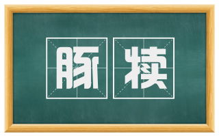 豚犊