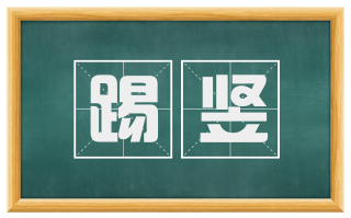 踢竖