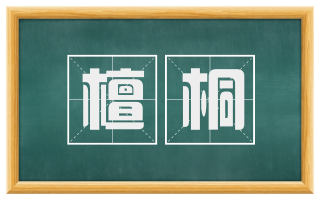 檀桐