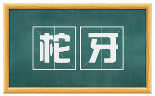 柁牙