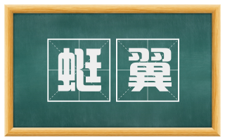 蜓翼
