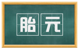 胎元