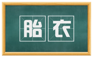 胎衣