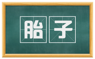 胎子