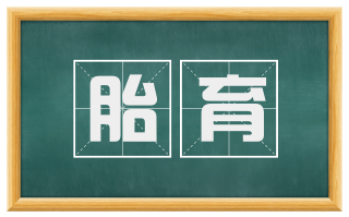 胎育
