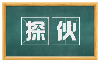 探伙