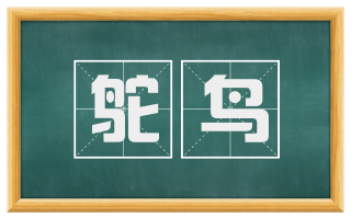 鸵鸟
