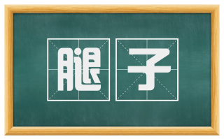 腿子