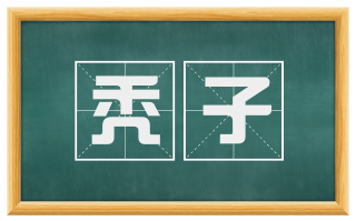 秃子