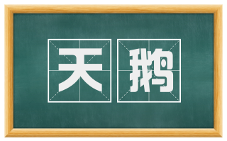 天鹅