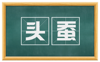 头蚕