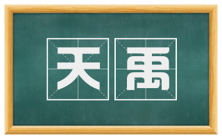 天禹