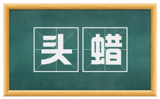 头蜡