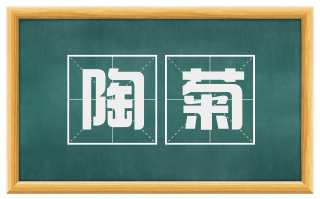 陶菊