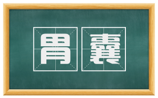 胃囊