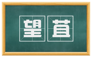 望苴