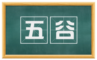 五谷