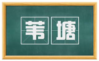 苇塘