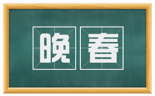 晚春