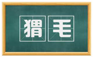 猬毛