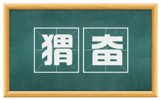 猬奋
