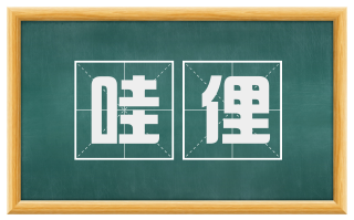 哇俚