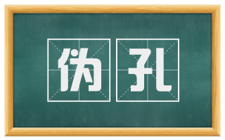 伪孔