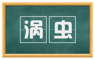 涡虫