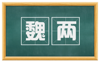 魏两