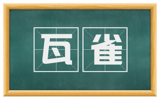 瓦雀
