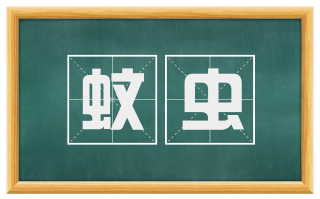 蚊虫